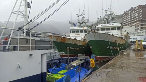 Dos de los cinco pesqueros de Ond�rroa (Vizcaya) que se encuentran parados desde este martes por el precio del combustible