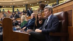 El presidente del PP, Alberto N��ez Feijoo, en su esca�o durante la sesi�n plenaria extraordinaria en el Congreso de los Diputados.
