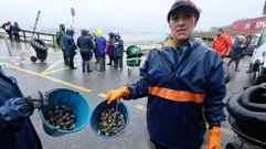 Las mariscadoras de la r�a de Pontevedra detectaron a mediados de noviembre el gran impacto de la mortandad en bancos como Os Praceres