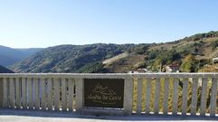 Mirador de la bodega Abad�a da Cova, una de las incluidas en la ruta