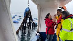 El conselleiro Villares (con traje de aguas de color amarillo), visitando las cuerdas colectoras de semilla de mejill�n de Proinsa, con el sistema �long-line�