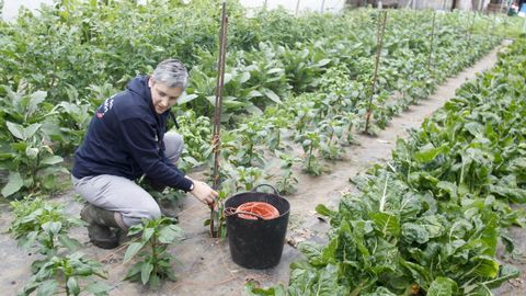 Leticia Iglesias comercializa los productos que cultiva en Neda bajo la marca Na horta da avoa María