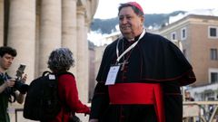 Llegada del cardenal brasileo Joao Braz de Aviz para participar en la sptima reunin de las congregaciones generales