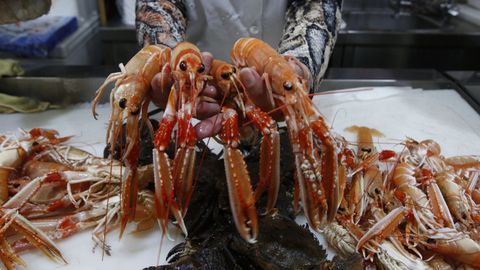 Una pescadera muestra cigalas frescas en un puesto del mercado de la coruñesa Plaza de Lugo (foto de archivo)
