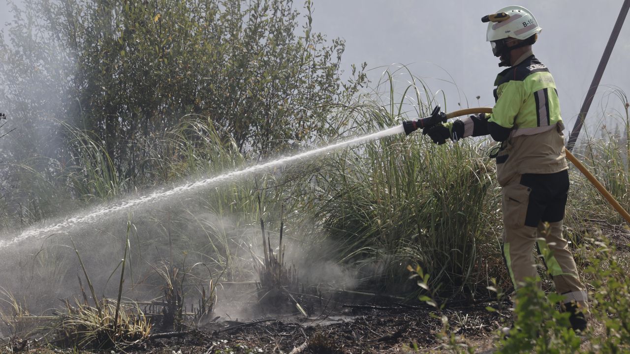Un incendio en el monte de San Pedro moviliza a todos los bomberos de A Coruña