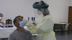 Cribado con PCR en A Lama, proceso al que solo acudi� el 21 % de los convocados