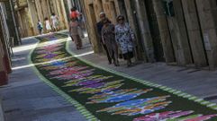 La calle Rafael Calleja pobrense volver� a lucir un manto de p�talos