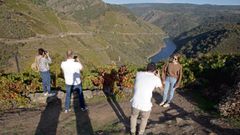 Un grupo de turistas frente al ca��n del Sil en el mirador de Soutochao, en el municipio de Sober