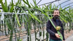 Jorge Carballeira en la plantaci�n. En la imagen con una fruta que es roja por dentro
