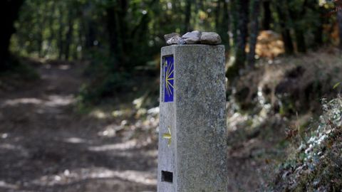 Un moj�n indicativo de la ruta, en el Camino de Invierno a su paso por Monforte, en una imagen de archivo.