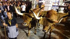 Un momento del desfile de carros de las fiestas de Chantada del a�o pasado