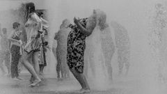 Elena Lucio Rivero fue la ganadora en el a�o 2017 con esta imagen