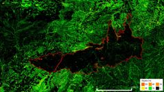Los modelos digitales de alturas generados con el nuevo m�todo LidarTeam detectan perfectamente c�mo qued� la estructura vertical de la zona afectada por el incendio de �dena del 26 de julio de 2015. Se puede apreciar que algunas peque�as zonas mantienen la altura.