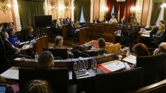 Pleno de este viernes en el Concello de Ourense.