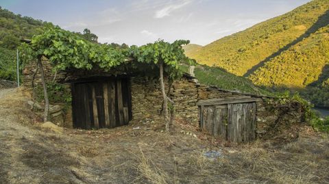 Las riberas de Vilach se caracterizan por tener lagares a pie de via