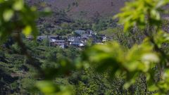 Vista de la aldea de Figueiredo, donde crecen olivos de variedades aut�ctonas 