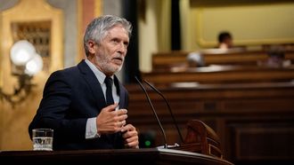 El ministro del Interior, Fernando Grande-Marlaska, durante la sesi�n del Congreso de este mi�rcoles.
