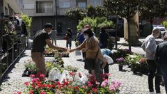 Celebraci�n de la feria en O Carballi�o