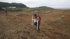 Los arque�logos usan t�cnicas no invasivas para analizar el yacimiento