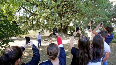 En clase de Literatura, los alumnos del Bachillerato Internacional del IES do Castro de Vigo, salen al jardn