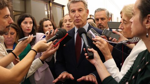 El l�der del PP, Alberto N��ez Feijoo, ayer en el Congreso de los Diputados.