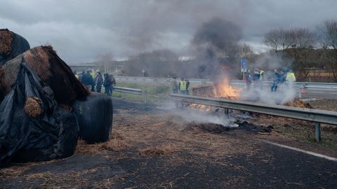 Manifestaci�n de ganaderos y agricultores con tractores en la autov�a A-52 en A Limia.