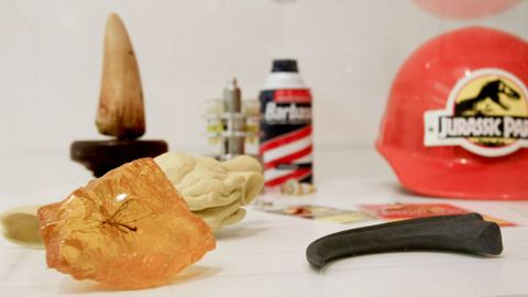Artículos originales utilizados en el rodaje de la película «Jurassic Park». 