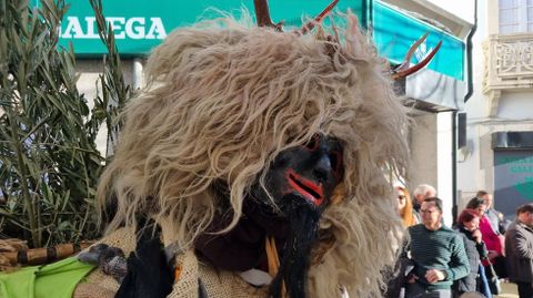 Viana acoge la mayor mascarada de la Pennsula Ibrica.Una de las mscaras presentes en el desfile.