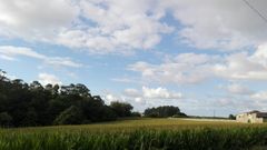 Finca de Casariego, en el municipio de Tapia, donde se cosech� ma�z hace 400 a�os y a�n se cultiva actualmente