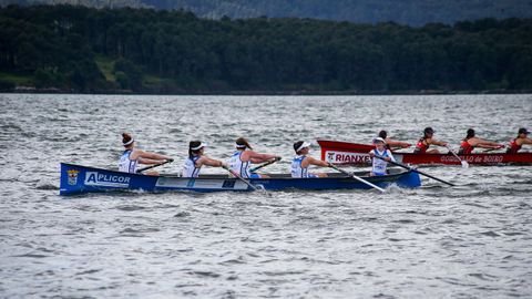 Clasificaci�n para la final del campeonato europeo de bateles celebrado en Rianxo