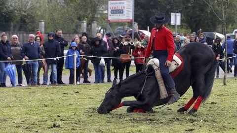 Feria caballar en las Fiestas de San Marcos 2019