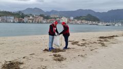 Voluntarios en la playa de Santa Mara en Ribadesella