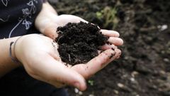 Imagen de archivo de una agricultora sosteniendo tierra de su terreno