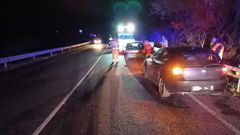 Los turismos implicados en el accidente sufrieron una colisin al frenar de golpe uno de ellos por la aparicin de unos jabales en la carretera