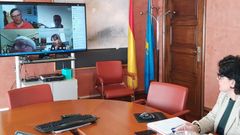 Laa directora gerente del Sespa, Concepci�n Saavedra, en la reuni�n telem�tica del consejo de administraci�n del Servicio de Salud del Principado (Sespa)