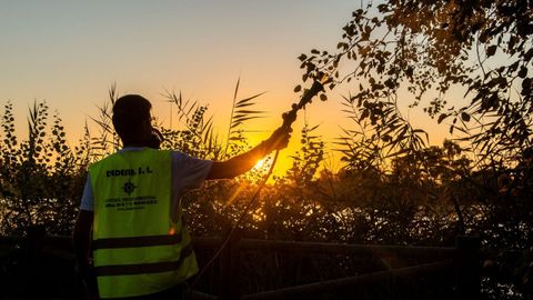 Un operario fumiga la margen del r�o Guadalquivir a su paso por Puebla del R�o, en Sevilla
