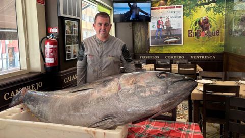 El responsable de la Sidrer�a El Bosque, Diego Javita, junto con el at�n rojo de m�s de 100 kilos que acaba de adquirir