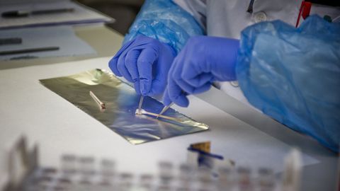 Imagen de archivo de un laboratorio en el que realizan pruebas de ADN.