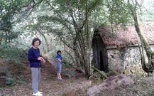 A Xesteira limpou os antigos cami�os de acceso �s construci�ns.