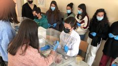 Taller de biotecnolog�a sobre material gen�tico y PCR en el IES A Xunqueira II de Pontevedra