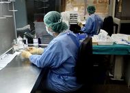 En el laboratorio de farmacia se preparan muchos de los compuestos.