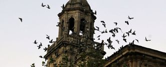 Las palomas proliferan en cascos urbanos, en la imagen el monasterio de San Salvador de Lourenz�. 