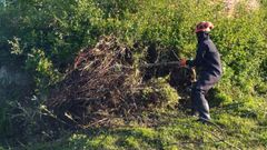Limpieza del rego de Aneiros, en Serantes, en una imagen de archivo