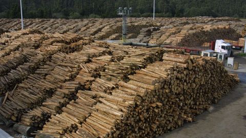 Imagen de archivo de la madera almacenada por Ence en Navia