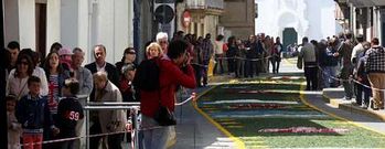 Las alfombras florales recorren cerca de dos kil�metros de calles del casco antiguo de la villa arenasa.