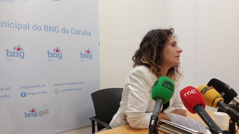 Avia Veira durante la rueda de prensa en la que anunci� la ruptura del BNG con el gobierno de In�s Rey