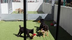 Instalaciones de CAAN de la Armenteira