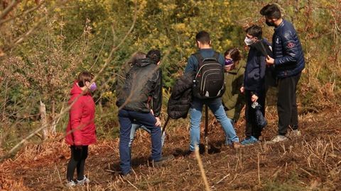 Alumnos de la Escola Polit�cnica Superior de Lugo llevan a�os trabajando sobre el da�o que causan los incendios en el terreno