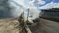 Imagen de la hierba calcinada que provoc� el incendio.