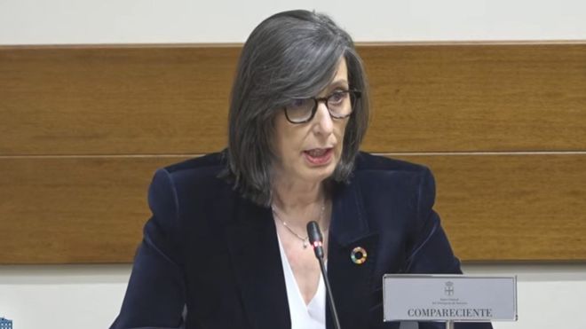 Nieves Roque�� en la comisi�n de investigaci�n de Cerredo